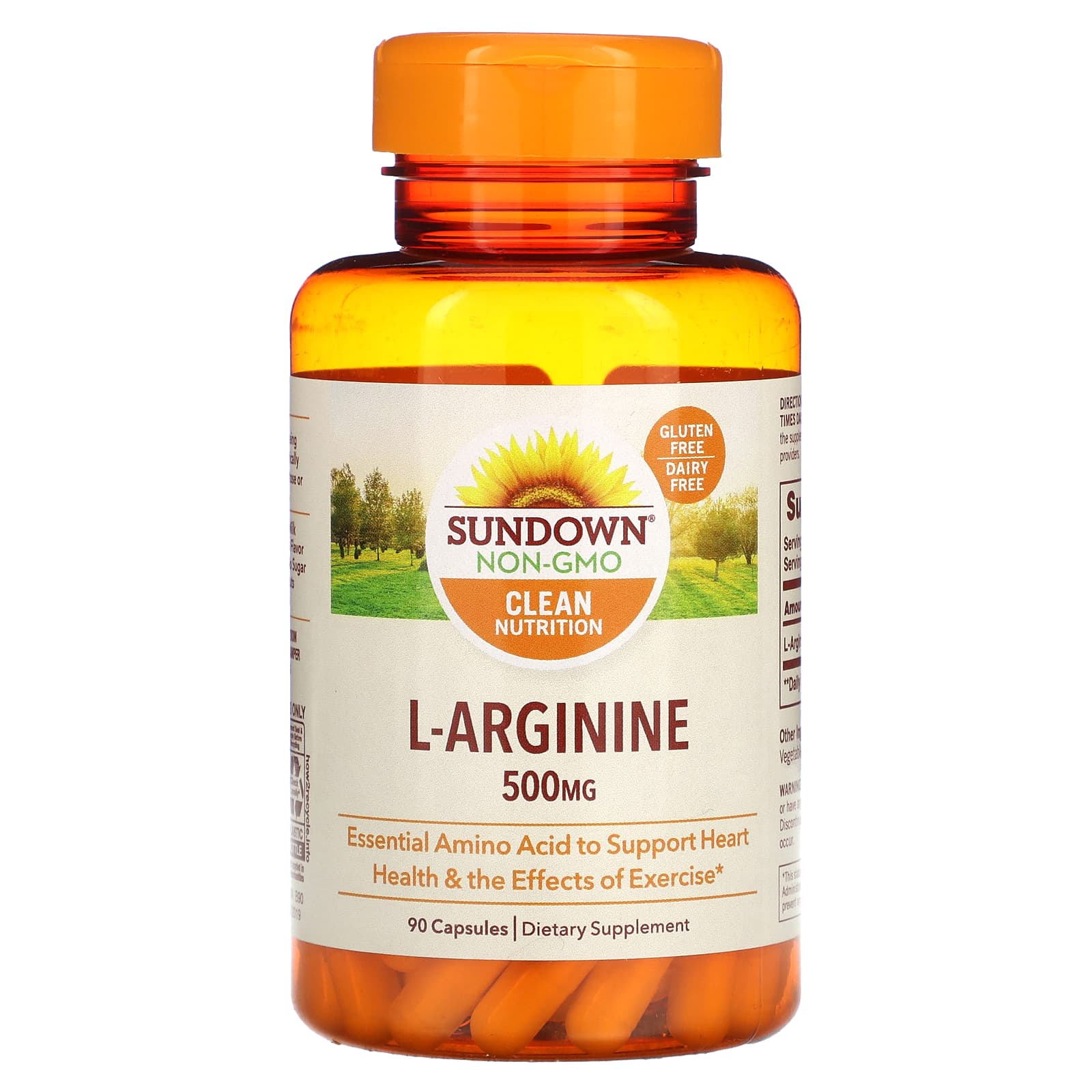 L-Arginine 500 mg 90 cápsulas